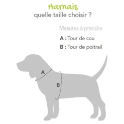 Harnais Momentum noir - chien