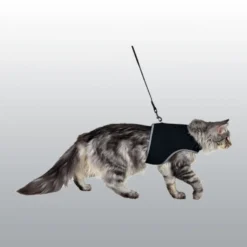Harnais soft XXL noir avec laisse pour chat