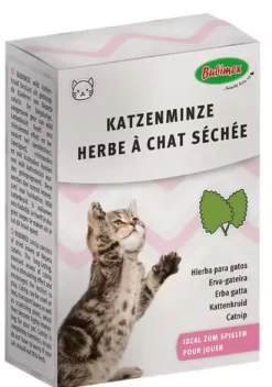 Herbe à chat Cat Nip 20g
