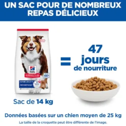 Hill's Chien Mature Adult 7+ Medium Agneau & Riz 14kg