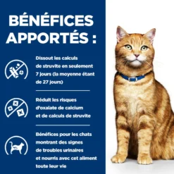 Hill's Prescription Diet c/d Urinary Care Multicare en sachets - pâtée chat