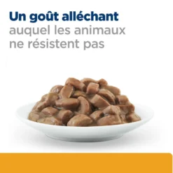 Hill's Prescription Diet c/d Urinary Care Multicare en sachets - pâtée chat