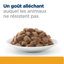 Hill's Prescription Diet c/d Urinary Care Multicare en sachets - pâtée chat