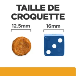 Hill's Prescription Diet c/d Urinary Care Multicare au poulet - croquettes chien