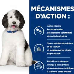 Hill's Prescription Diet c/d Urinary Multicare en boîtes au poulet – pâtée chien