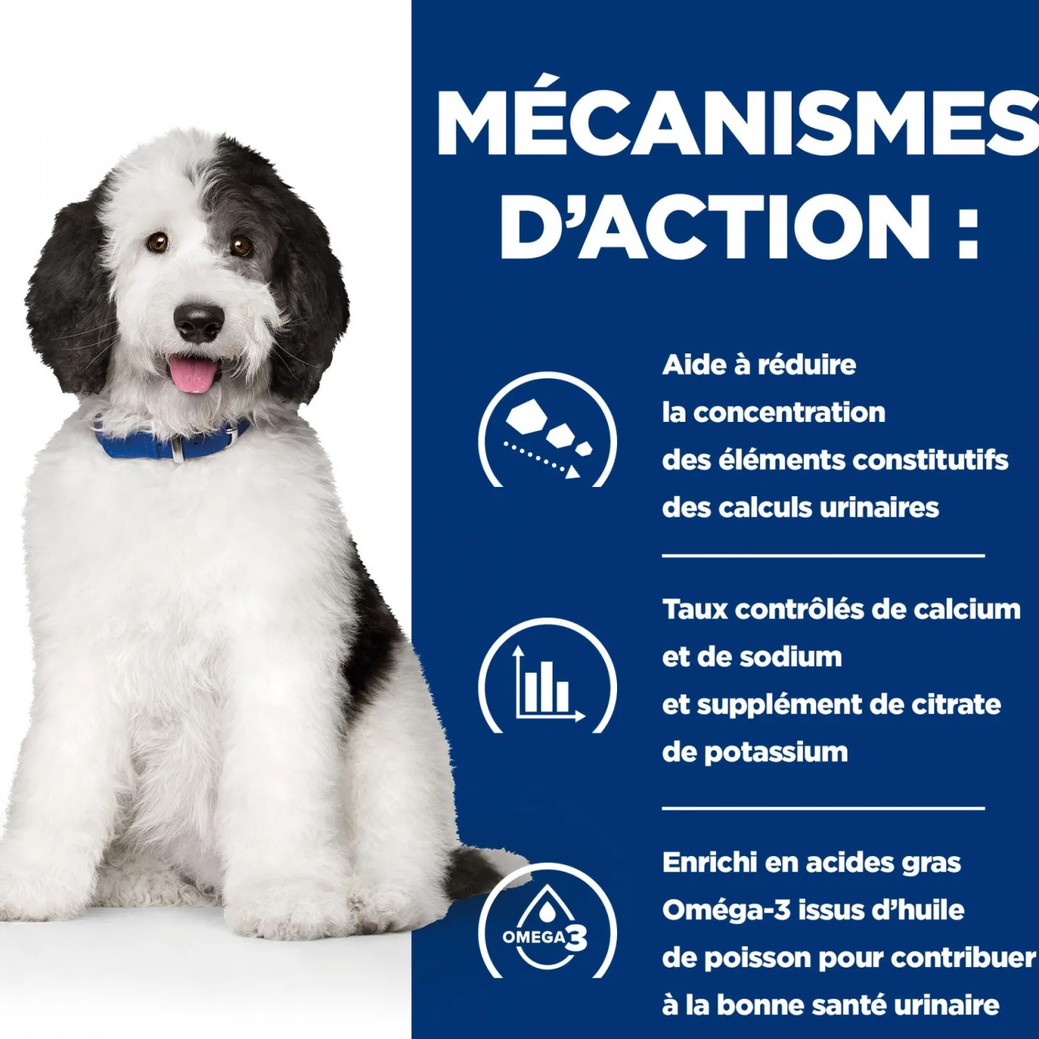Hill's Prescription Diet c/d Urinary Multicare en boîtes au poulet – pâtée chien