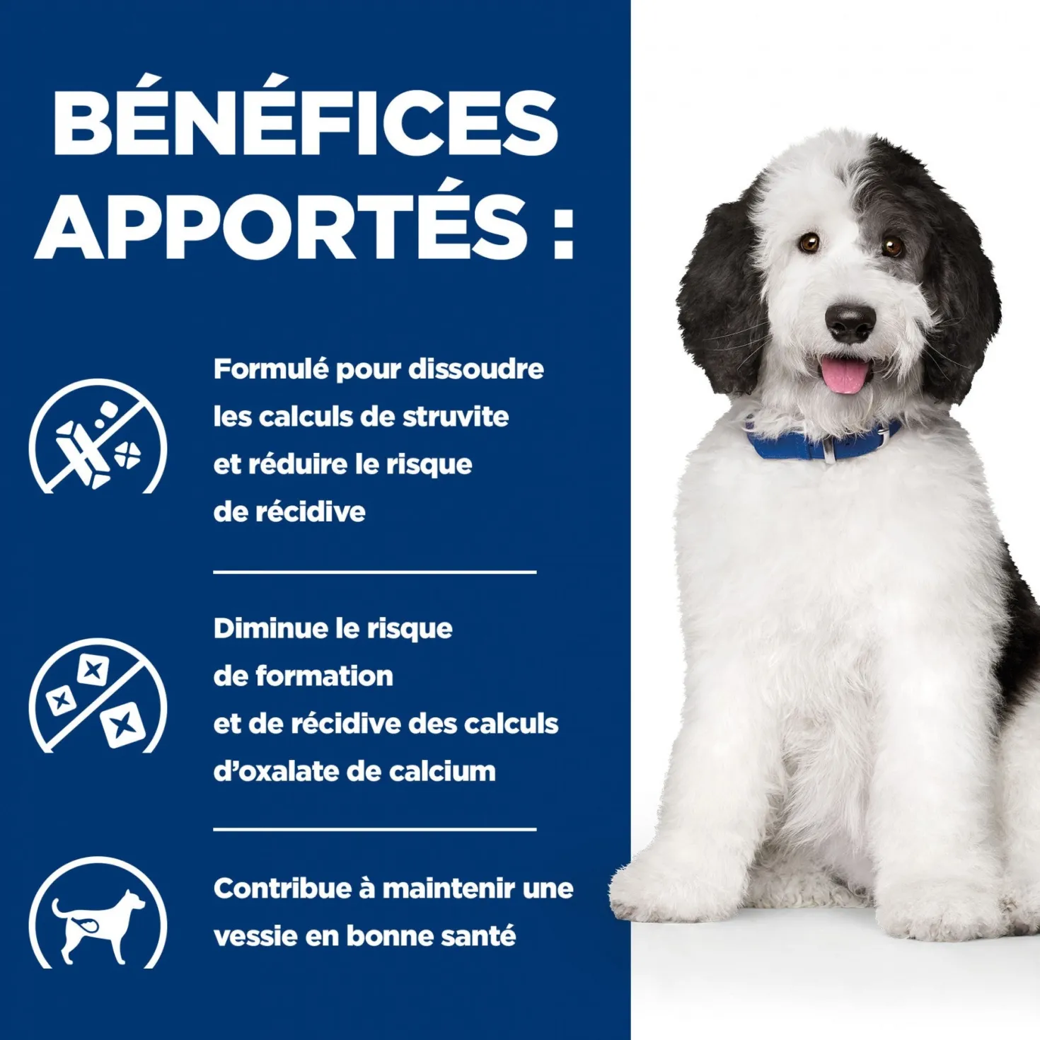 Hill's Prescription Diet c/d Urinary Multicare en boîtes au poulet – pâtée chien