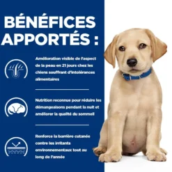 Hill's Prescription Diet Derm Complete Puppy - croquettes chiot