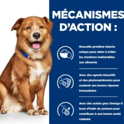 Hill's Prescription Diet Derm Complete - croquettes chien