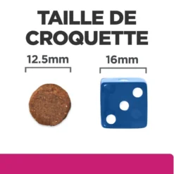 Hill's Prescription Diet Gastrointestinal Biome au poulet - croquettes chien