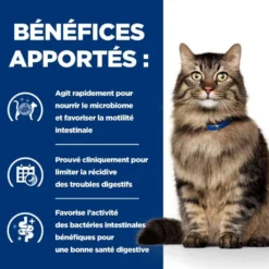 Hill's Prescription Diet Gastrointestinal Biome au poulet - croquettes chat