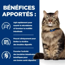 Hill's Prescription Diet Gastrointestinal Biome en mijotés au poulet - pâtée chat