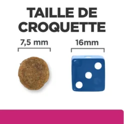 Hill's Prescription Diet Gastrointestinal Biome Mini au poulet - croquettes chien