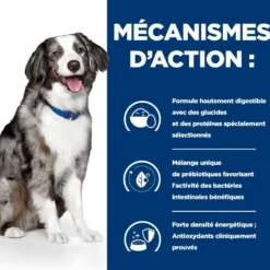 Hill's Prescription Diet i/d Digestive Care Sensitive à l'oeuf et au riz - croquettes chien