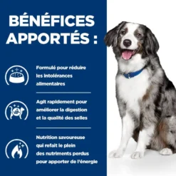 Hill's Prescription Diet i/d Digestive Care Sensitive à l'oeuf et au riz - croquettes chien