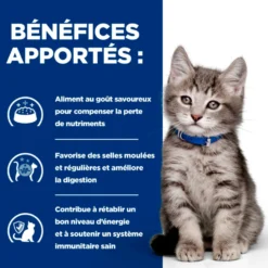 Hill's Prescription Diet I/D Digestive Kitten - croquettes pour chaton