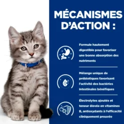 Hill's Prescription Diet I/D Digestive Kitten - croquettes pour chaton