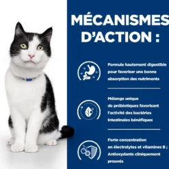 Hill's Prescription Diet i/d Digestive Care en sachets - pâtée chat