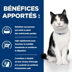 Hill's Prescription Diet i/d Digestive Care en mijotés au poulet - pâtée chat