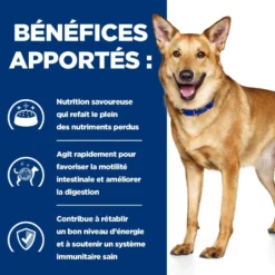 Hill's Prescription Diet i/d Digestive Care en mijotés au poulet - pâtée chien