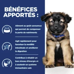 Hill's Prescription Diet i/d Digestive Puppy - croquettes chiot