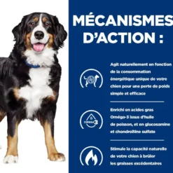 Hill's Prescription Diet j/d Metabolic + Mobility au poulet - croquettes chien