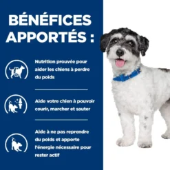 Hill's Prescription Diet j/d Metabolic + Mobility Mini au poulet - croquettes chien