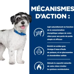 Hill's Prescription Diet j/d Metabolic + Mobility Mini au poulet - croquettes chien