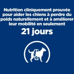 Hill's Prescription Diet j/d Metabolic + Mobility Mini au poulet - croquettes chien