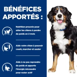 Hill's Prescription Diet j/d Metabolic+Mobility en boîtes au poulet – pâtée chien