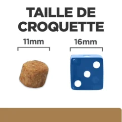 Hill's Prescription Diet j/d Mobility au poulet - croquettes chien