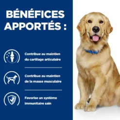Hill's Prescription Diet j/d Mobility au poulet - croquettes chien