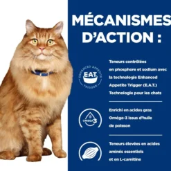 Hill's Prescription Diet k/d j/d Kidney + Mobility au poulet - croquettes chat