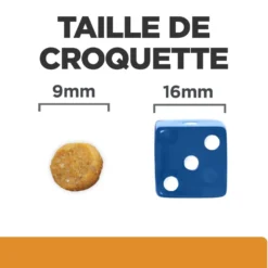 Hill's Prescription Diet k/d j/d Kidney + Mobility au poulet - croquettes chat