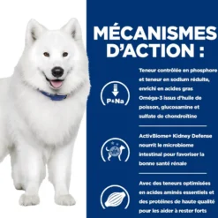 Hill's Prescription Diet k/d j/d Kidney + Mobility en terrine au poulet - pâtée chien