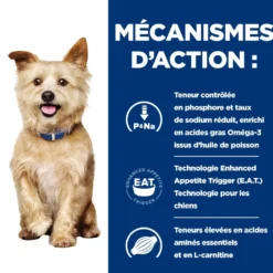 Hill's Prescription Diet k/d Kidney Care - croquettes chien