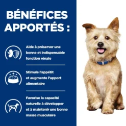 Hill's Prescription Diet k/d Kidney Care - croquettes chien