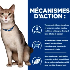 Hill's Prescription Diet k/d Kidney Care au Saumon - croquettes chat