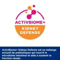 Hill's Prescription Diet k/d Kidney Care au Saumon - croquettes chat