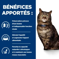 Hill's Prescription Diet k/d Kidney Care Early Stage en sachets au poulet - pâtée chat