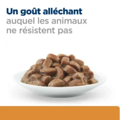 Hill's Prescription Diet k/d Kidney Care en bouchées au saumon - pâtée chat