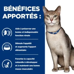 Hill's Prescription Diet k/d Kidney Care en bouchées au bœuf - pâtée chat
