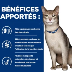 Hill's Prescription Diet k/d Kidney Care en terrine au poulet - pâtée chat