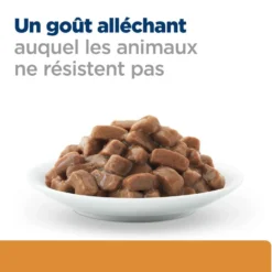 Hill's Prescription Diet k/d Kidney Care en bouchées Multipack - pâtée chat