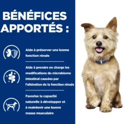 HILL'S Prescription Diet k/d Kidney Care en terrine au poulet - Pâtée pour chien