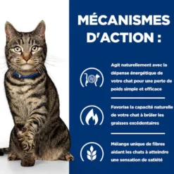 Hill's Prescription Diet Metabolic au poulet - croquettes chat