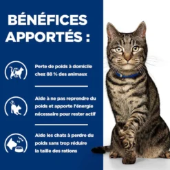 Hill's Prescription Diet Metabolic au poulet - croquettes chat