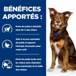 Hill's Prescription Diet Metabolic au poulet - croquettes chien