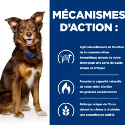 Hill's Prescription Diet Metabolic en bouchées mijotées au poulet - pâtée chien