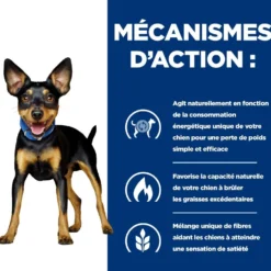 Hill's Prescription Diet Metabolic Mini au poulet - croquettes chien